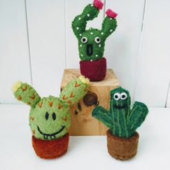fun cacti group